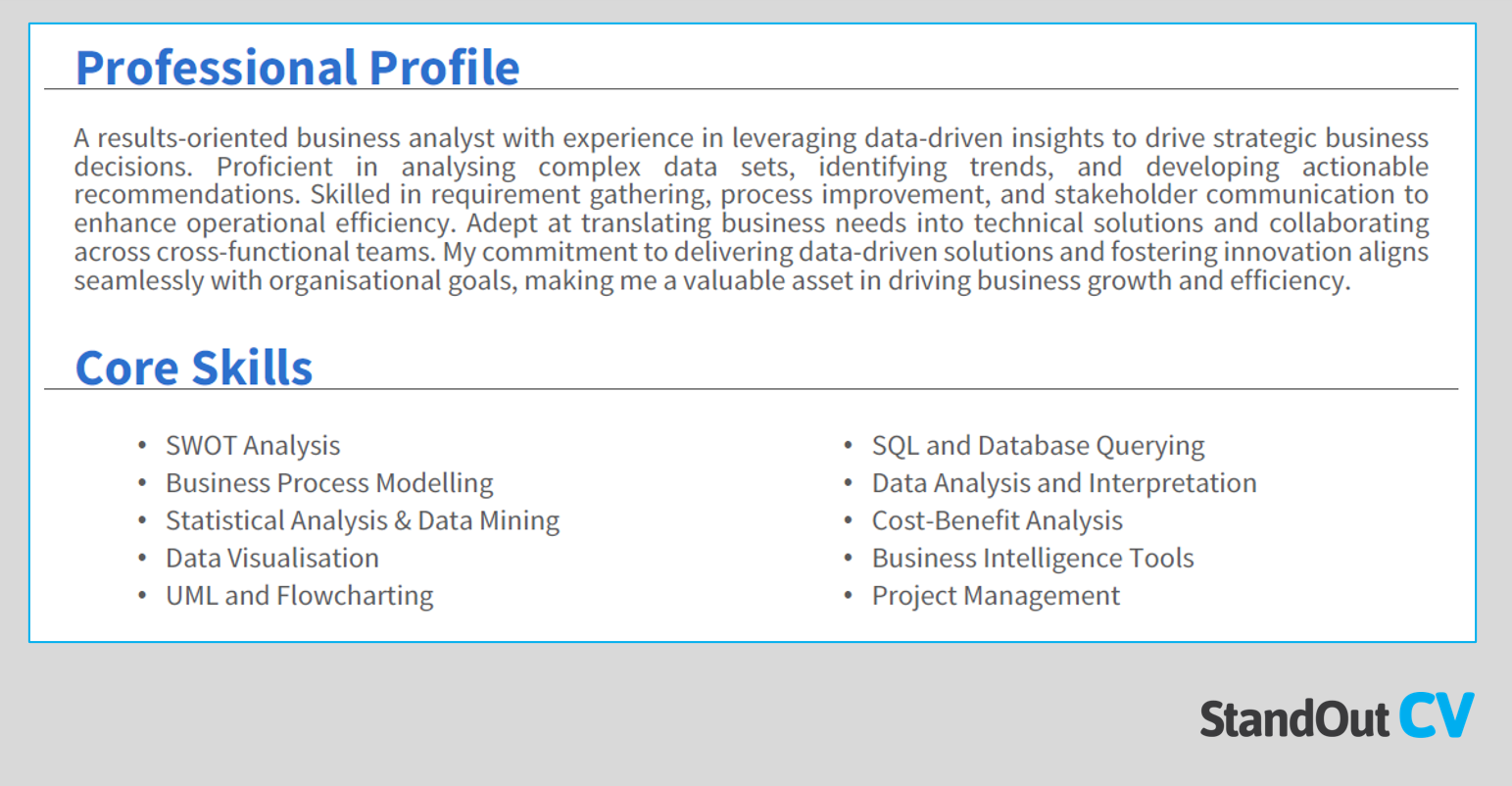 Business Analyst CV profile